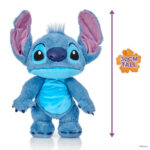 Stitch sa funkcija