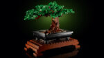 LEGO® Botanicals 10281 Bonsai drvo