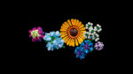 LEGO® Botanicals 10313 Buket divljeg cveća