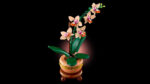 LEGO® Botanicals 10343 Mini-orhideja