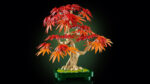 LEGO® Botanicals 10348 Crvenolisni japanski bonsai javor