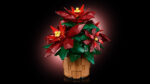 LEGO® Botanicals 10370 Božićna zvezda
