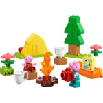 LEGO® DUPLO 10452 Kampovanje