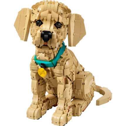 LEGO® Icons 11384 Štene zlatnog retrivera