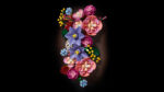 LEGO® Botanicals 11503 Cvetni zid
