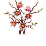 LEGO® Botanicals 11510 Grane magnolije