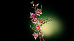 LEGO® Botanicals 11510 Grane magnolije