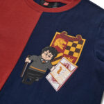 LEGO® Harry Potter majica kratkih rukava, bordo