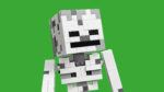 LEGO® Minecraft 21594 Skeleton
