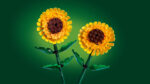 LEGO® Botanicals 40524 Suncokreti