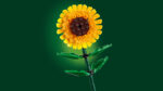 LEGO® Botanicals 40524 Suncokreti