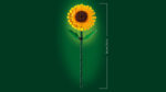 LEGO® Botanicals 40524 Suncokreti