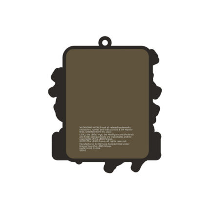LEGO® Hari Poter magnet: Expelliarmus