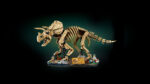 LEGO® Jurassic World 77985 Fosili dinosaurusa: Triceratops